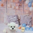 릴리줄리살롱 이미지