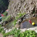 약초민박 이미지