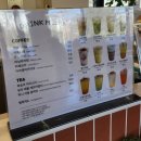 멍애견 | 김포 운양동 애견카페 천연잔디 멍더쿠 후기