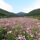 평촌명품마을 이미지