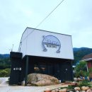 씨젤리피쉬 이미지