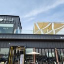 더봄(the봄) 이미지