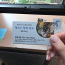 의왕 백운호수 물회 맛집 청초수물회섭국 백운점 후기