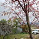 개나리꽃민박 이미지