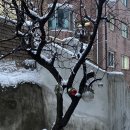 영광통닭 | 서촌 에어비앤비 서촌유닛 그리고 김나영tv 영광통닭후기 및 서촌여행기