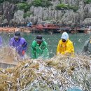 남해멸치 - 성남시 중원구 둔촌대로 68 | 남해멸치