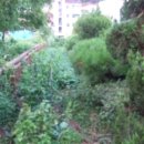 수동면사무소 이미지