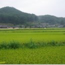 청량산하루민박 이미지