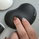 모락소프트 이미지