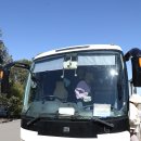 2025년11월6일 블루마운틴 국립공원(동물원) 이미지