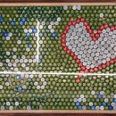 동해안세꼬시 이미지