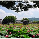 동학혁명 모의탑 이미지