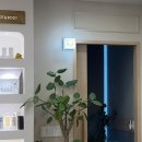 금강롯데주 | [더하노이길음점] 스톤 테라피 60분 후기｜더하노이풋앤바디 시그니처 케어 테라피 추천, 몸보다 마음이...