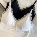 탑스포츠 이미지