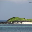 제주 토끼섬 문주란자생지 이미지