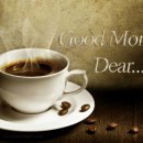 늘 푸른 나무 이미지