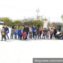 리라태권도 이미지