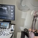 동감동물의료센터 | 동감동물의료센터, 보호자 마음까지 함께 살피는 동물병원