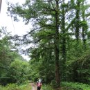 치악산둘레길 1코스 꽃밭머리길 이미지