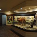 음성군 향토민속자료전시관 이미지