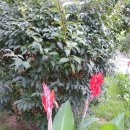 청마루농장 이미지