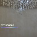 바인허브한의원 이미지