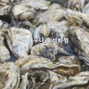 굴나라칼국수 이미지