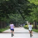 강변자전거길 1 이미지