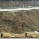 여우쉼터 이미지