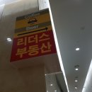 안코비어 이미지