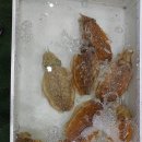 광주청과 공판장