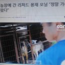 용재농장 이미지