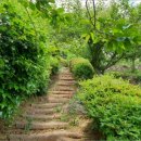 자산동242 이미지