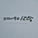 마산1로 느티나무길 | 부산 양산 아이랑 가볼 만한 카페 느티나무의 사랑