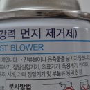 제주냐옹실 고양이미용 이미지