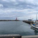 리인제주 이미지