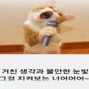 연하횟집 티스토리