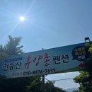 천등산민박