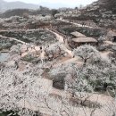 전남중앙병원 이미지