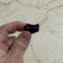 댕냥이 점빵 | 창원 가볼만한곳 반려동물 수제간식 맛집 댕냥이점빵