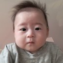 세온(SEON) | 6개월 아기와 오키나와 한달살기: 아기 여권 만들기