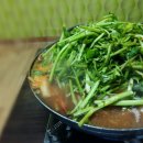 아구박사 Daum카페