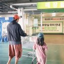 제주13月 | 일상 , 5月