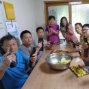 옆구리터진김밥 이미지