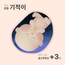 시온동물병원 | 2025. 12월 임신 40주 4일차(초산 자연분만/시온여성병원)