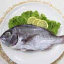 화태바다 이미지