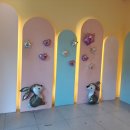 킹덤키즈 이미지