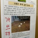 인스타 삭제해도 일상에 아무문제 없다