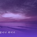산산수수 이미지