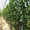 하우스유 이미지